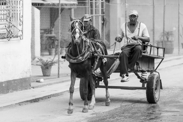 Mit dem Pferdefuhrwerk auf Fototour in Kuba