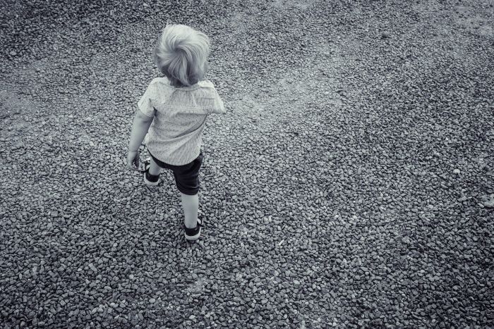 kleiner Hochzeitsgast kleiner Hochzeitsgast